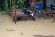 IMG 20240806 WA0022