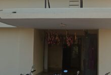 IMG 20250120 WA0019