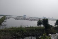 IMG 20250124 WA0020