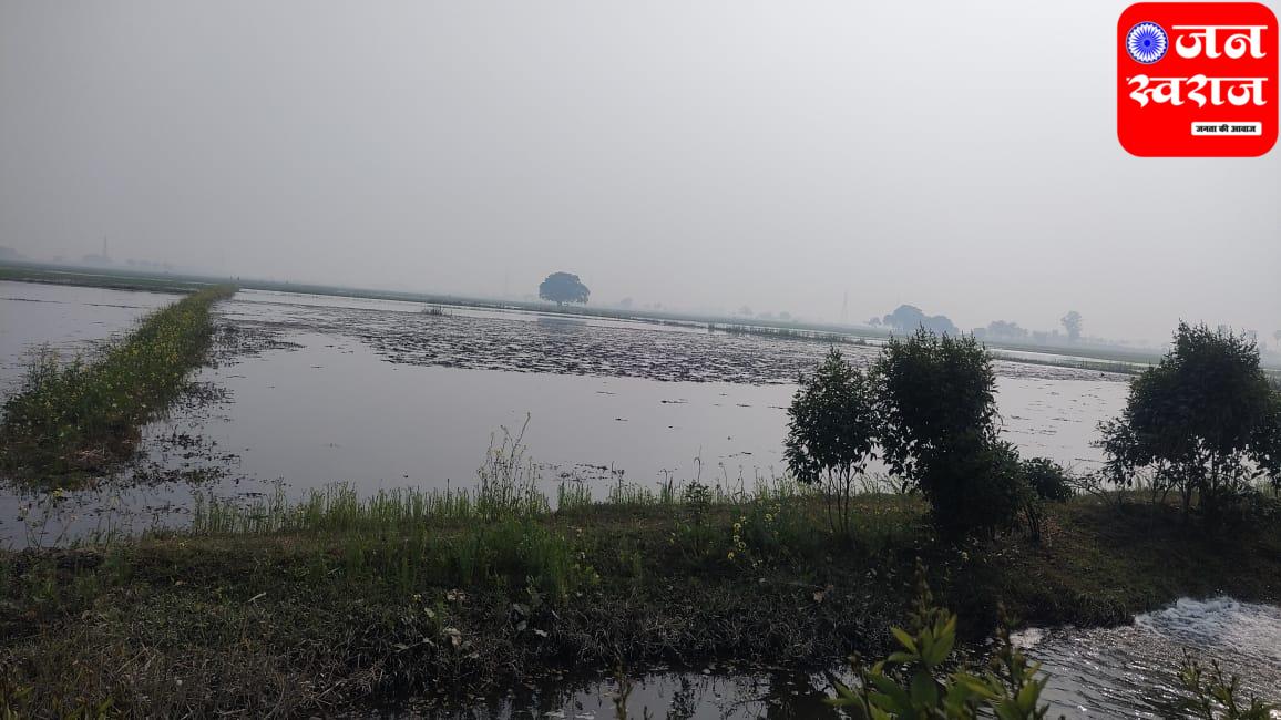 IMG 20250124 WA0020