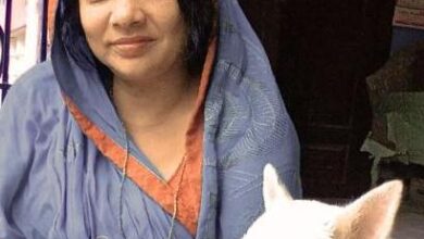 पालतू कुतिया साहिबा