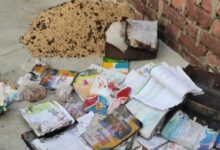 Screenshot 2025 05 31 12 46 56 53 5600c4be318a3a39d7eb640dd568d217