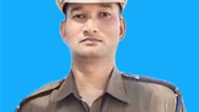 IMG 20250614 WA0005