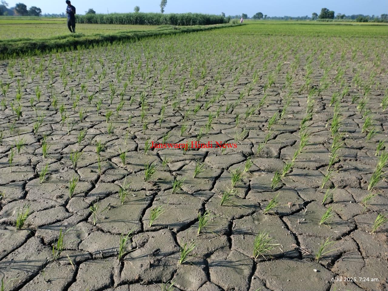 Kushinagar News