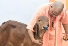 मा0 मुख्यमंत्री गो-संवर्धन योजना
