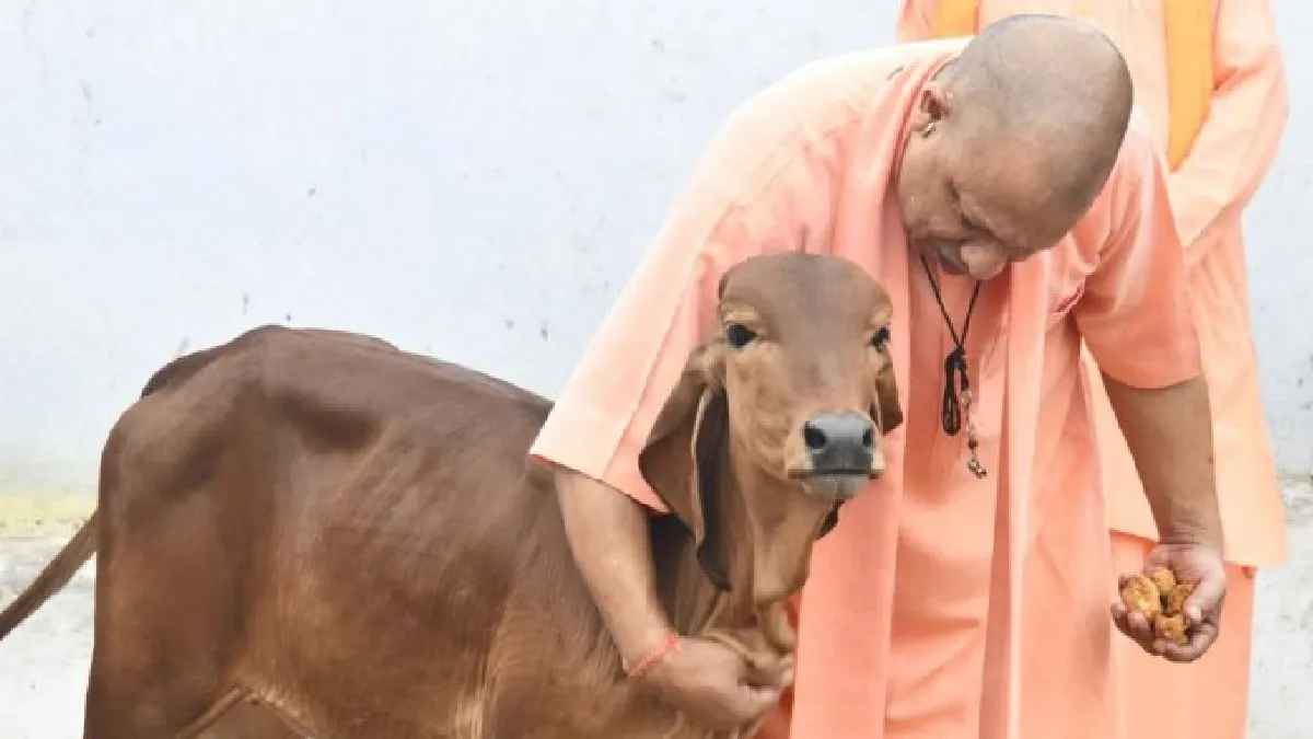 मा0 मुख्यमंत्री गो-संवर्धन योजना