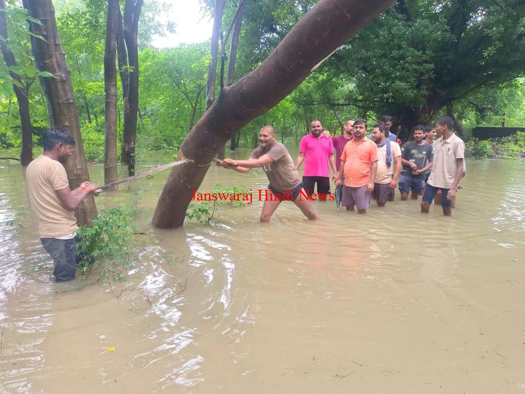 बाढ़ में घुसे युवा, गिरे पेड़ को काटा, फिर बहाल हुई बिजली आपूर्ति