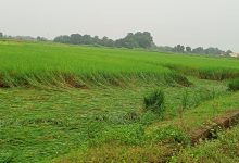 IMG 20251030 WA0015